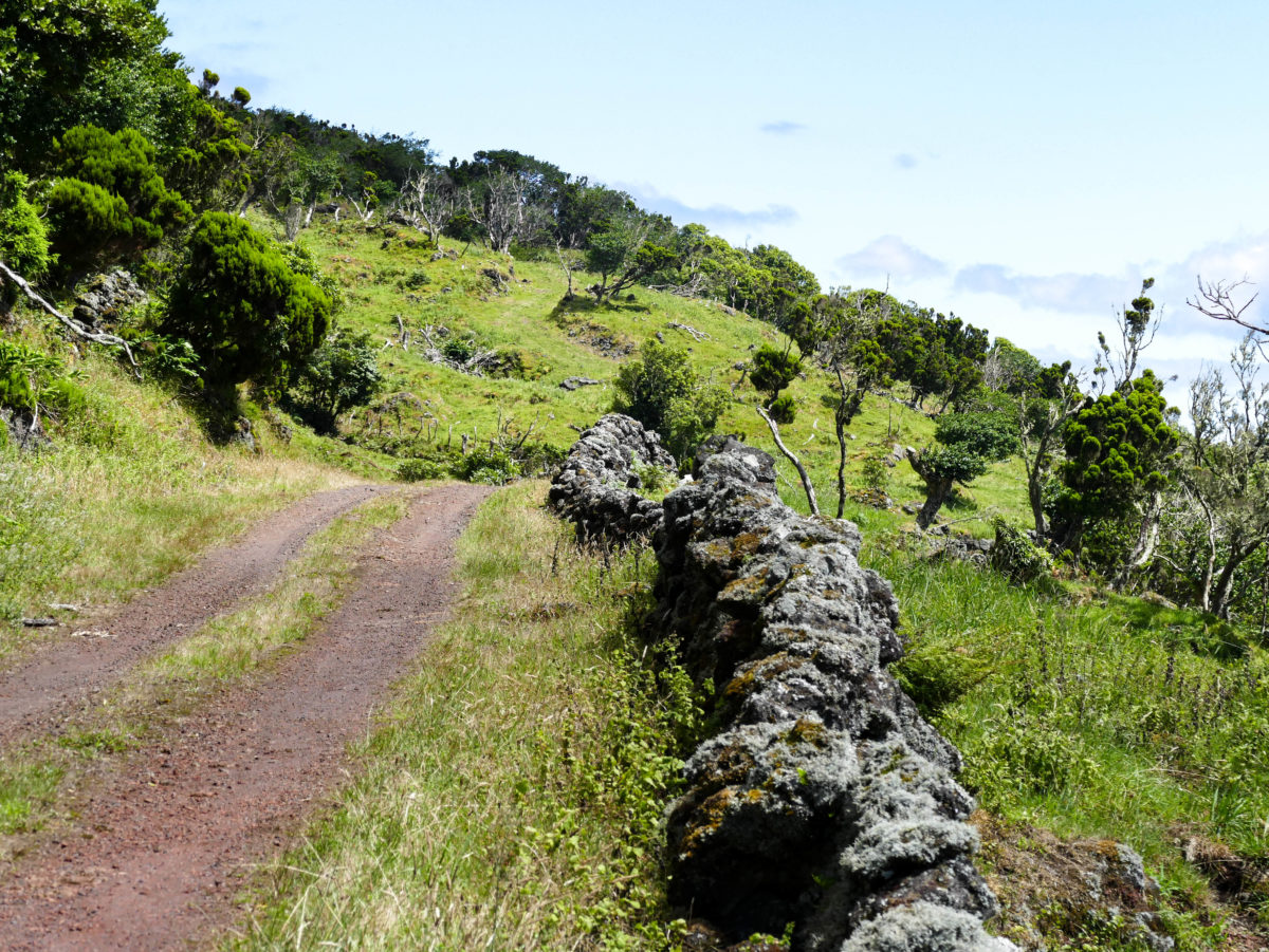 route de l'extrême sur les hauteurs de Pico aux Açores