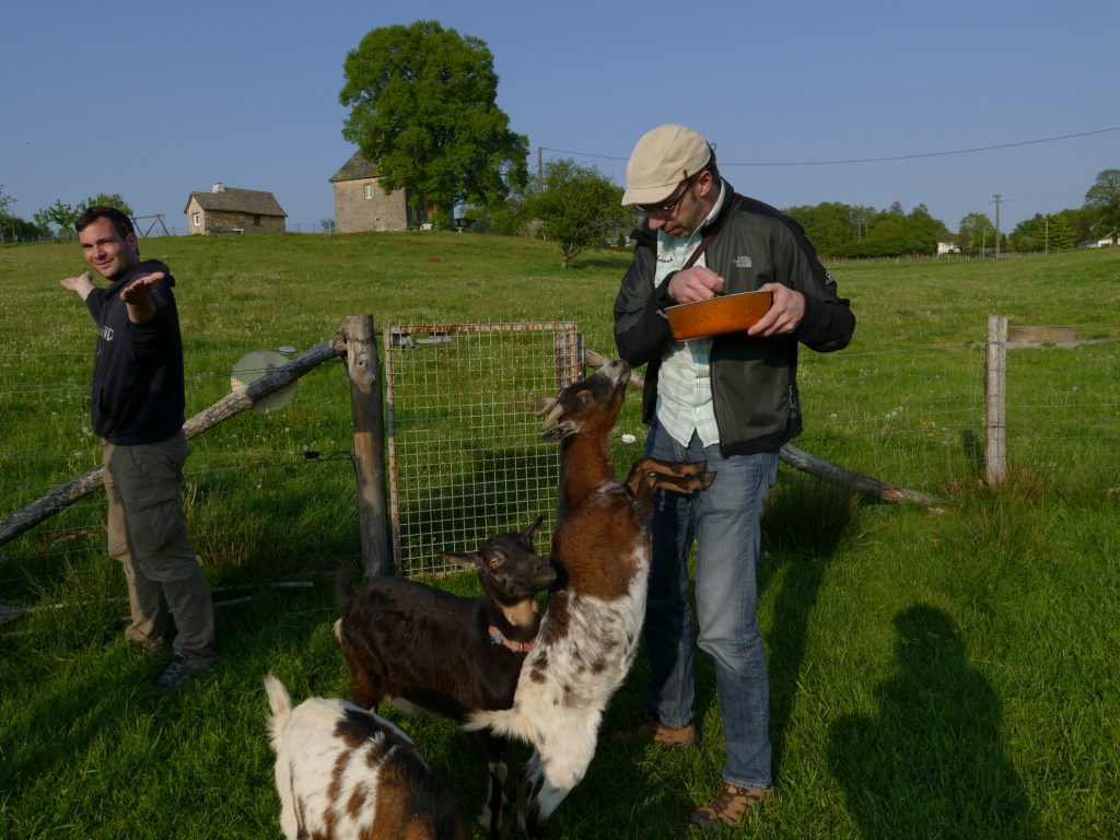 blogueurs avec des chèvres en Correze