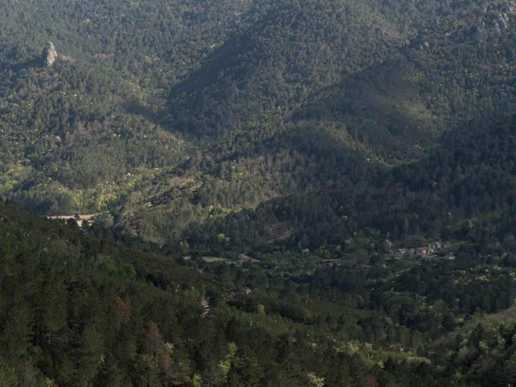 vallée du fiumorbo depuis Rosse