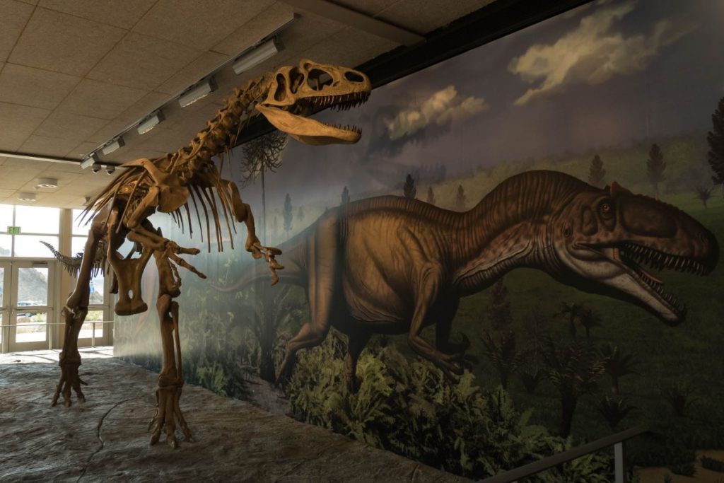 squelette de dinosaure dans le Quarry Exhibit Hall - Dinosaur National Monument