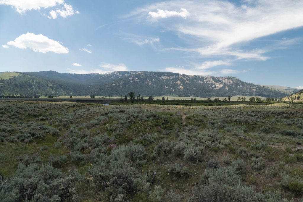 La sublime Lamar Valley