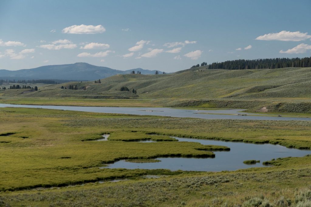 vallée du Yellowstone