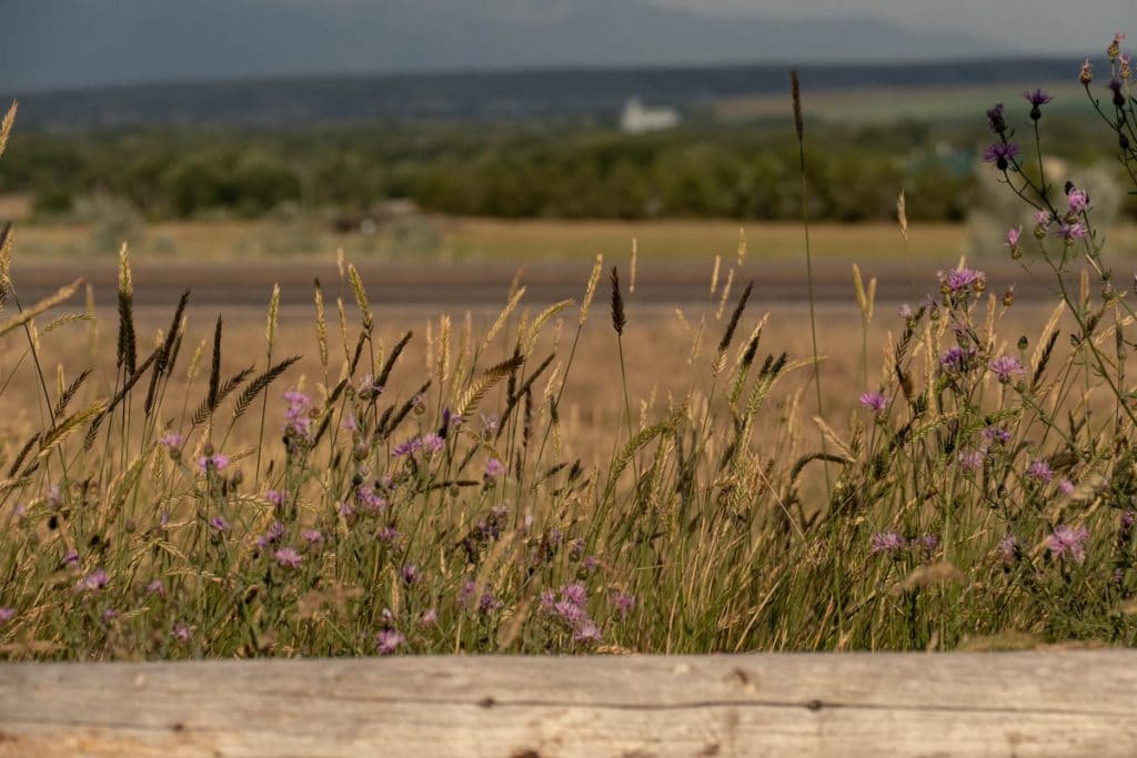 fleurs-three-forks-montana