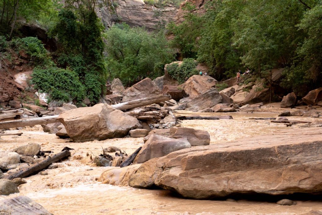 Riverside Walk - Virgin River - Zion