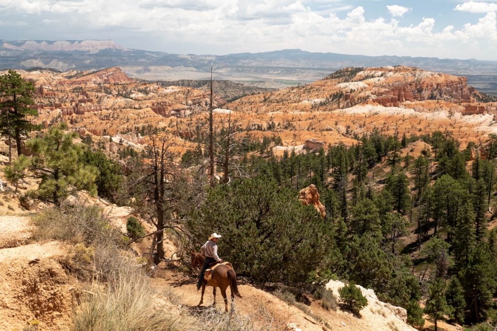 cavalier dans bryce-canyon